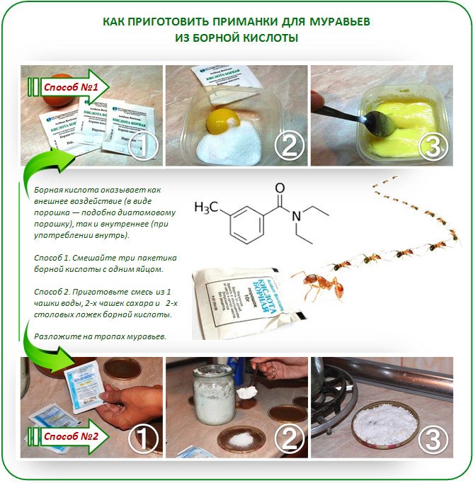 Яйцо кислота тараканы. Приманка для муравьев с борной кислотой и сахаром. Средство от муравьев с борной кислотой. Средство от муравьёв с борной кислотой. Средство от муравьев на огороде с борной кислотой.