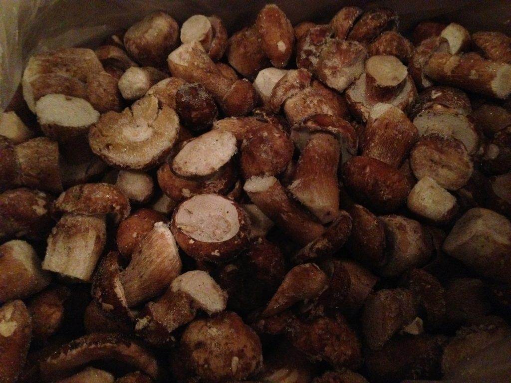 Как правильно заморозить белые грибы на зиму заморозка белых грибов варенными и сырыми