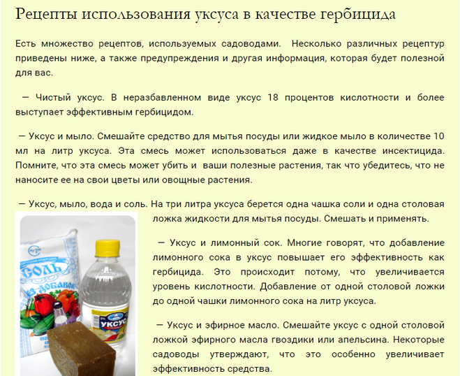 Как почистить ковер в домашних условиях с помощью соды или уксуса :: syl.ru
