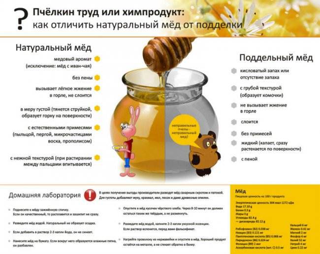 Как отличить настоящий мёд от подделки