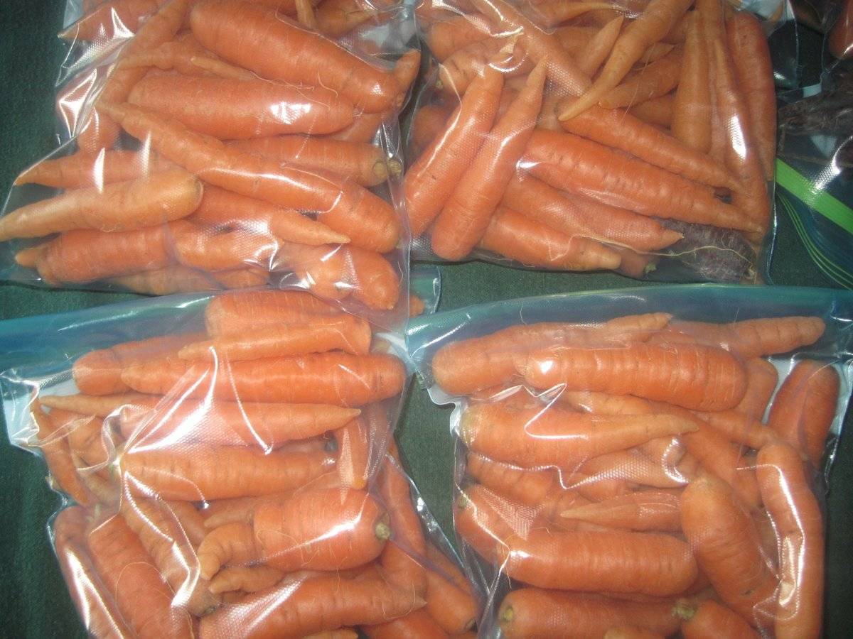 Как сохранить морковь на зиму в домашних условиях и в погребе