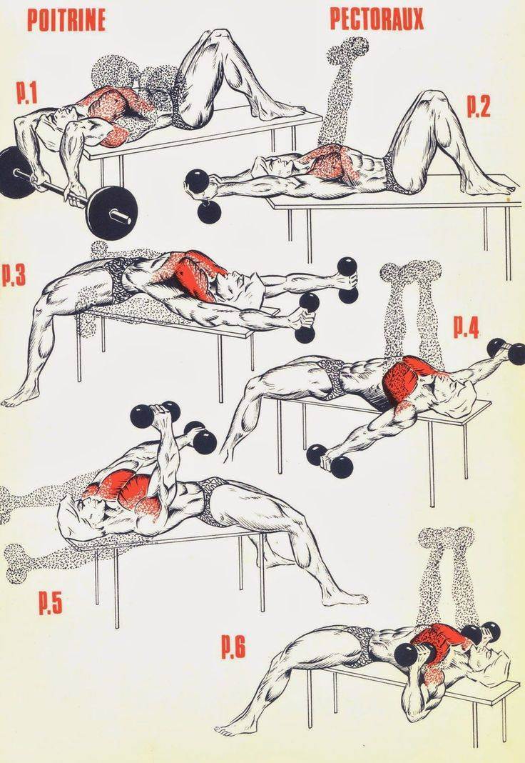 Как накачать мышцы в домашних условиях: упражнения, программы