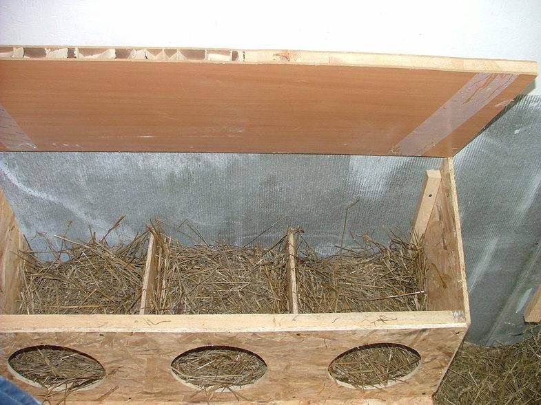 Размеры и чертежи гнезд для кур несушек