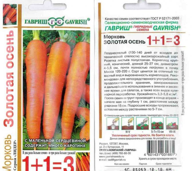 Лучшие сорта моркови для хранения