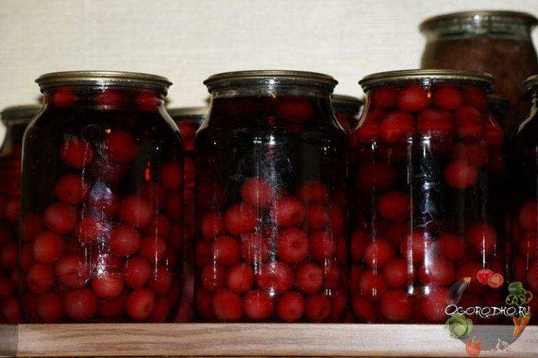 Компот из вишни на зиму: традиционные и необычные рецепты