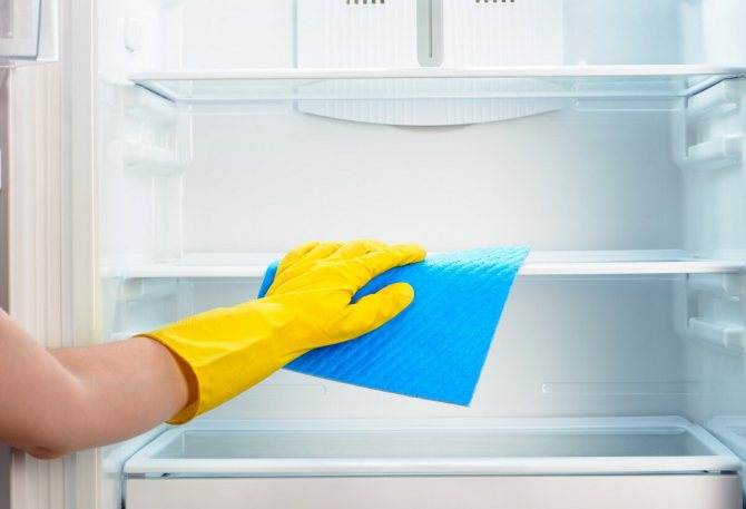 Плесень в холодильнике: чем опасна и как быстро избавиться