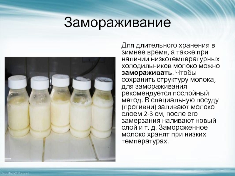 ТОП-3 проверенных способа заморозки молока