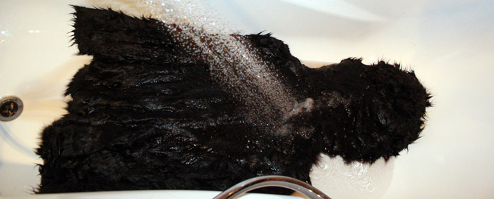 Как почистить мутоновую шубу в домашних условиях: сухая, влажная чистка шубы из мутона
