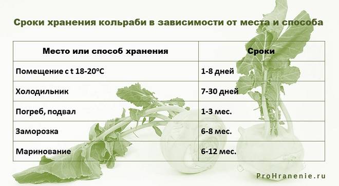 Как правильно хранить квашеную капусту в домашних условиях