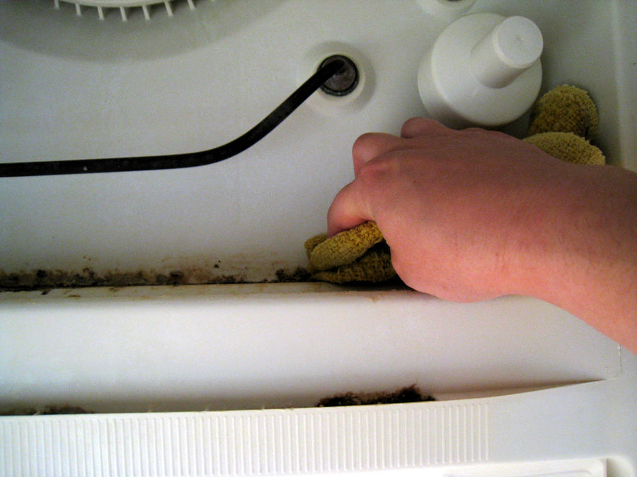 Запах из посудомоечной машины, как и чем убрать
