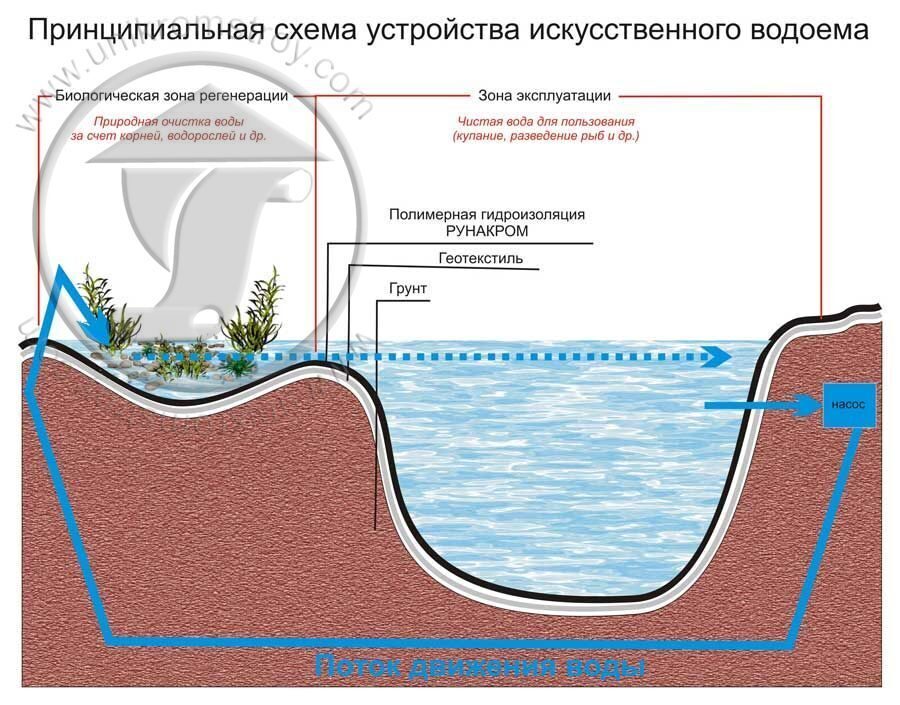 Проект очищение водоемов