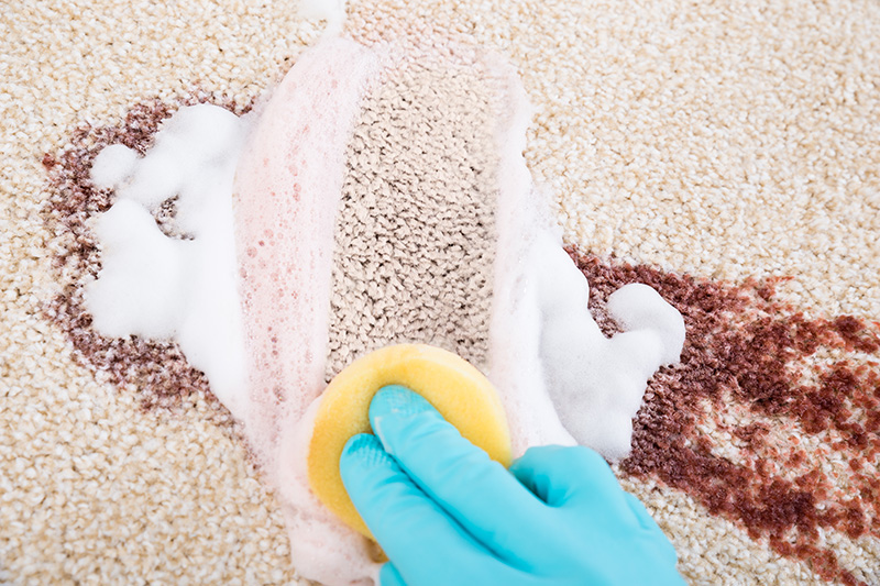 Как почистить ковролин в домашних условиях: средства, способы