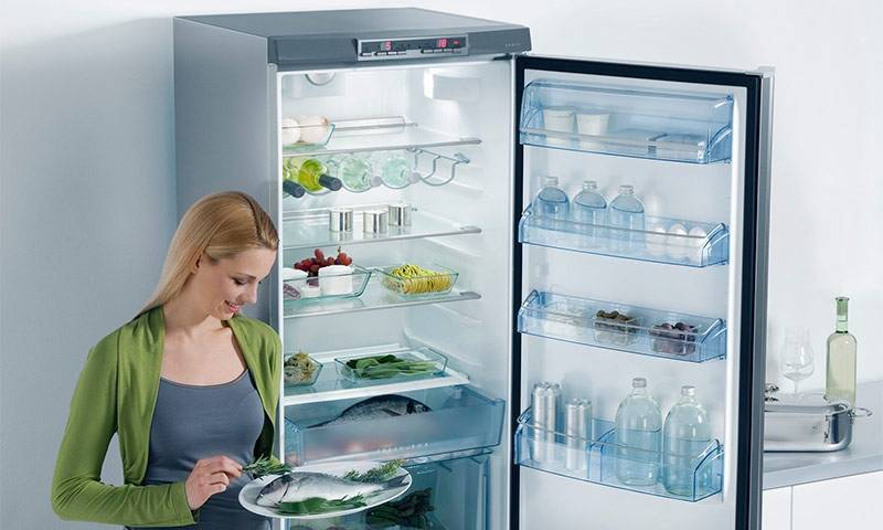 Рейтинг лучших холодильников с системой no frost на 2022 год