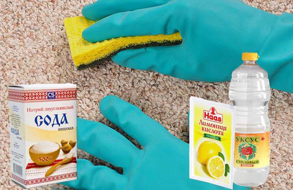 Как почистить ковер в домашних условиях: самые эффективные средства