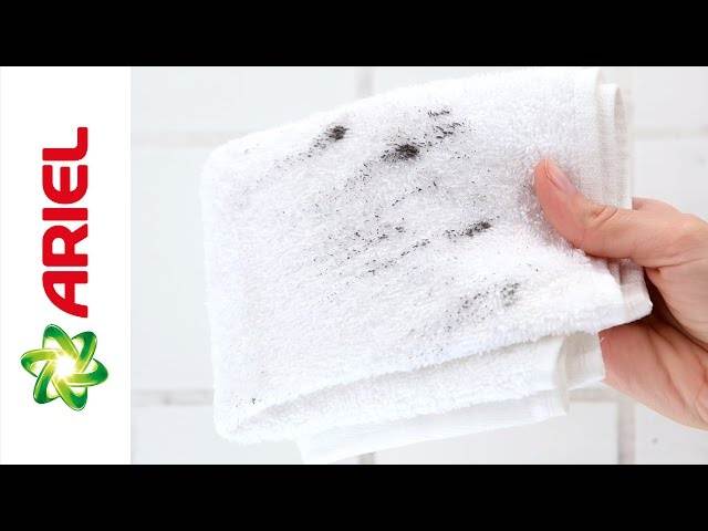 Как вывести плесень с ткани в домашних условиях: убрать грибок народными средствами, удалить плесневые пятна бытовой химией