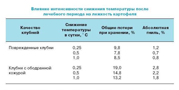 Особенности хранения картофеля. реферат. сельское хозяйство. 2010-05-25