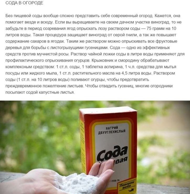 Как очистить кастрюли и сковородки сода канцелярский клей