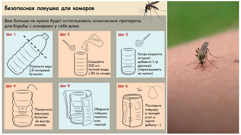 Чего боятся комары в домашних условиях: какой запах не переносят, чем отпугнуть