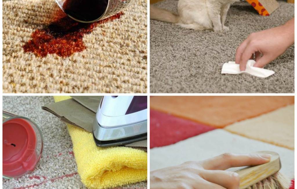 10 простых советов по очистке дома от шерсти животных