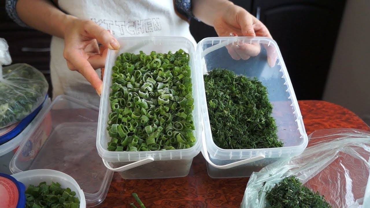 Можно ли замораживать зеленый лук в морозилке: как сохранить растение в свежем виде в домашних условиях зимой, как использовать заготовку?