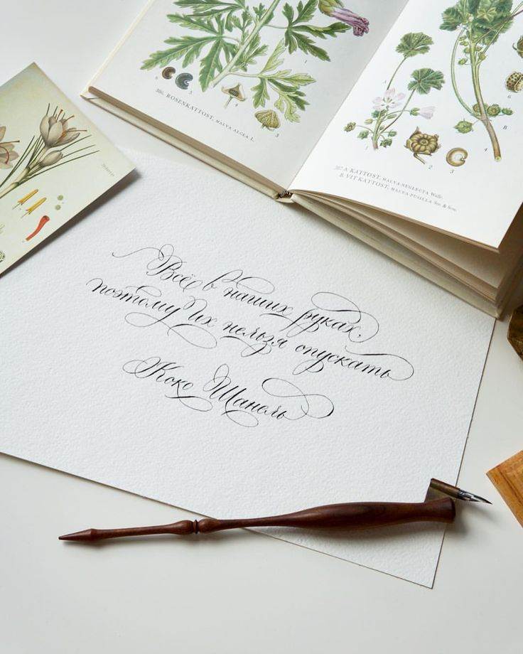 Как подписать открытку на свадьбу друзьям прикольные. как подписывать свадебные открытки