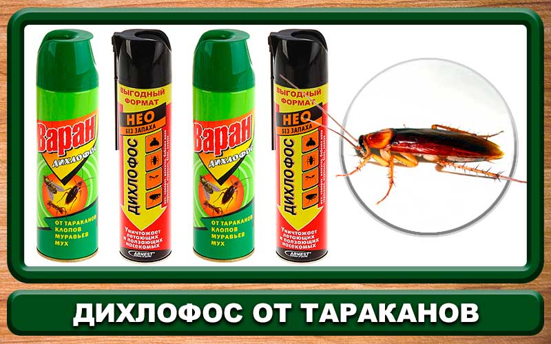 Как правильно использовать "дихлофос " от тараканов