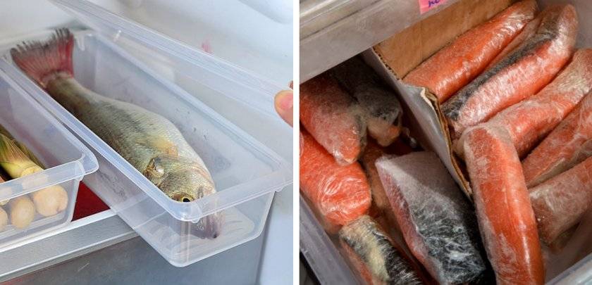 Где и как правильно хранить сушеную рыбу в домашних условиях