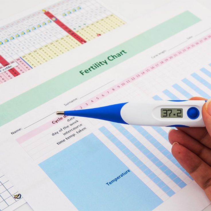 Как определить беременность по базальной температуре с помощью градусника?