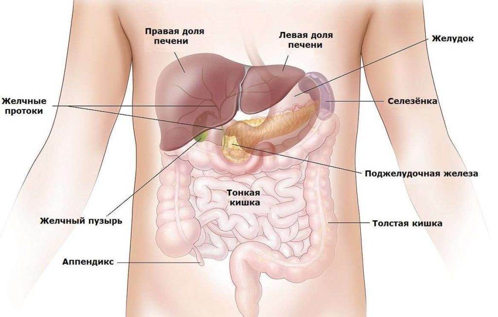 Рак грудной клетки - симптомы и признаки | центр лечения онкологии см-клиника