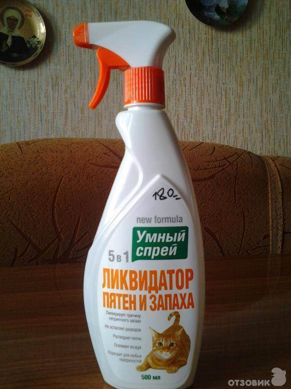 Делимся, чем эффективно вывести запах собачьей мочи с ковра | iloveremont.ru