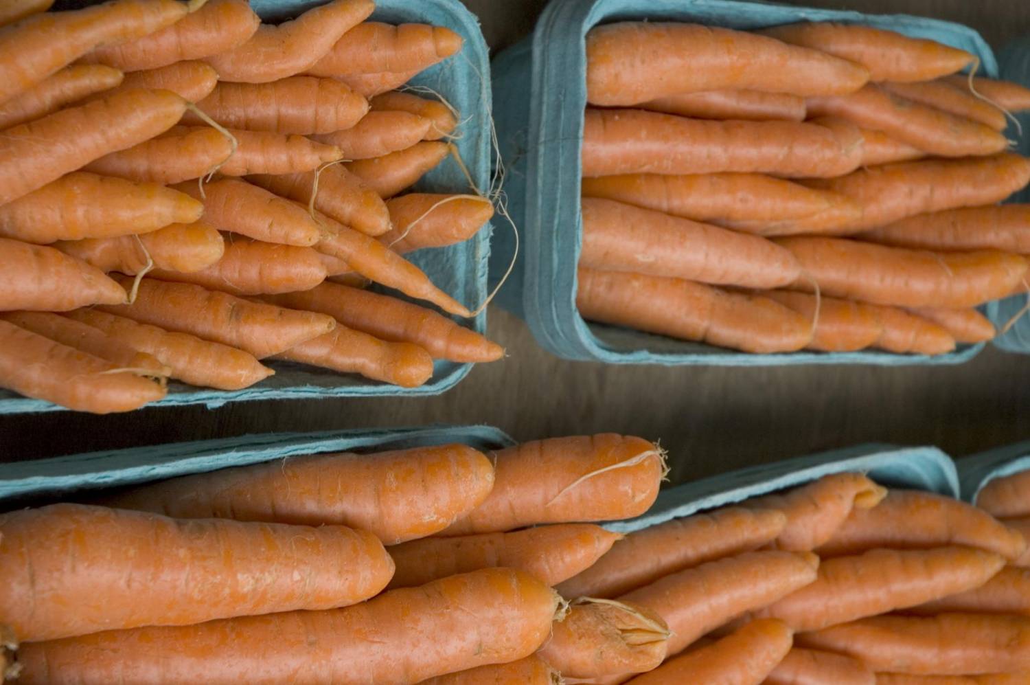 Как хранить морковь долго