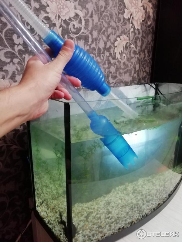 Как чистить аквариум правильно: стекла, дно, грунт и воду