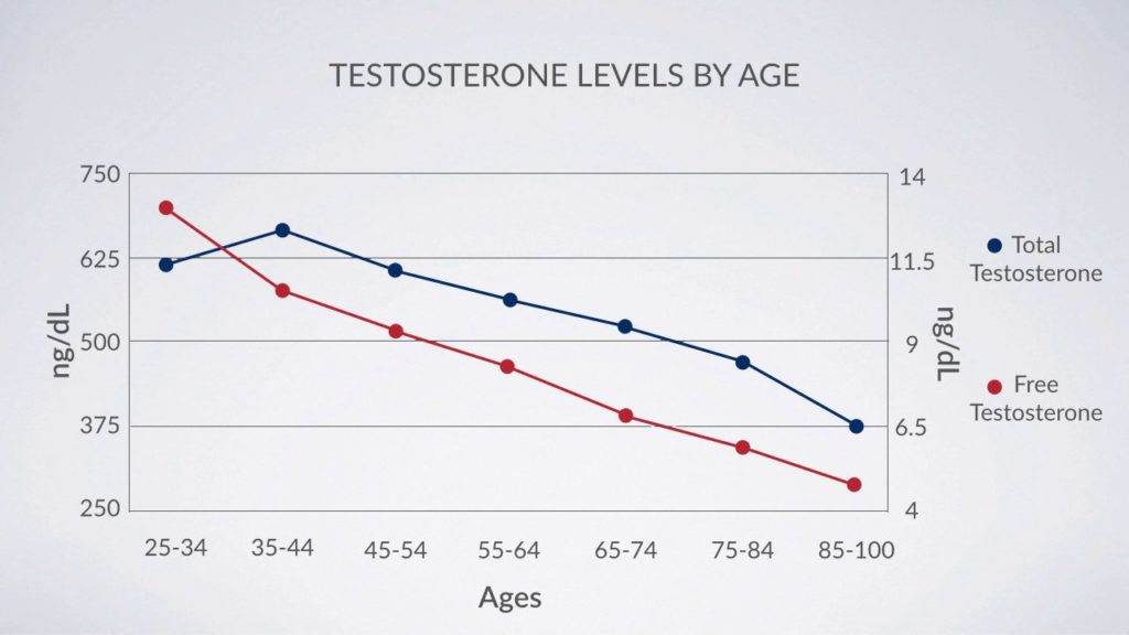 Уровень тестостерона у мужчин, у женщин: норма, как понизить уровень | мужские половые гормоны: как поднять тестостерон | тестостерон у мужчин