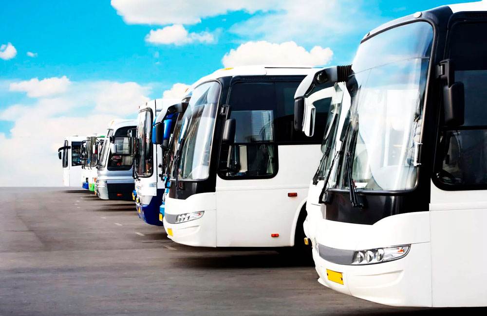 Пассажирские междугородние перевозки автобусами как бизнес