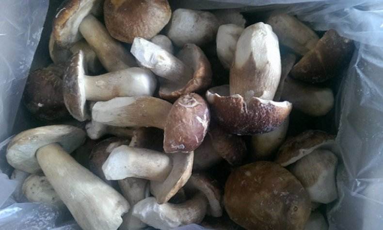 Как замораживать белые грибы: правильные рецепты