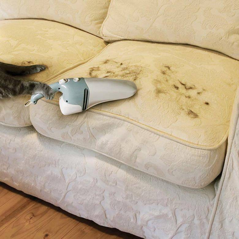 Как избавиться от шерсти кошек в квартире