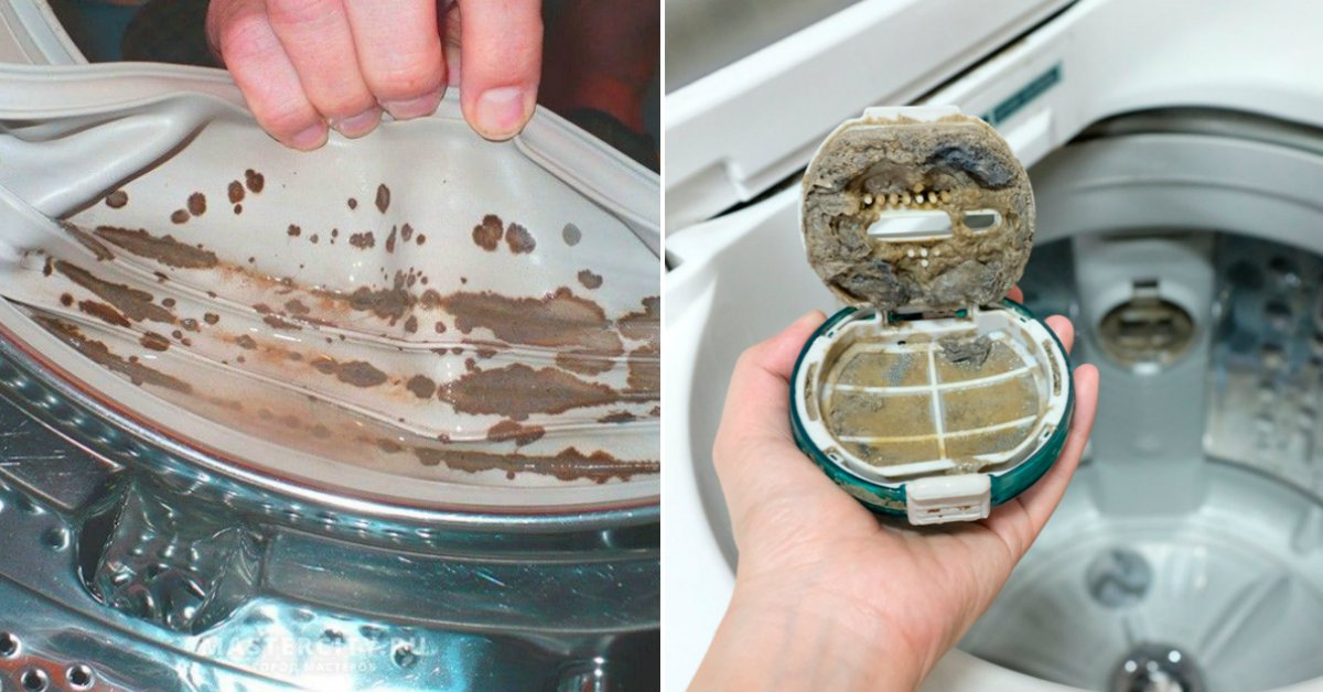 Плесень в стиральной машине: как убрать и избавиться от неё