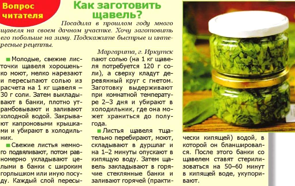 Способы, как сохранить горький перец на зиму в домашних условиях, советы и рекомендации