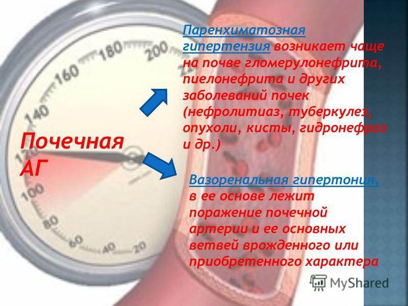 Давление при почечной недостаточности. Почечное давление. Почечное артериальное давление. Взаимосвязь почек и артериального давления. Почечное давление симптомы.