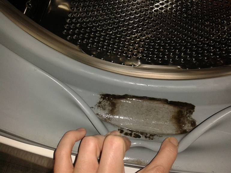 Как избавиться от плесени, которая появилась в стиральной машине