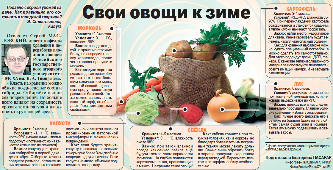 Как хранить капусту в подвале зимой либо в погребе, используя пищевую пленку и другие способы? русский фермер