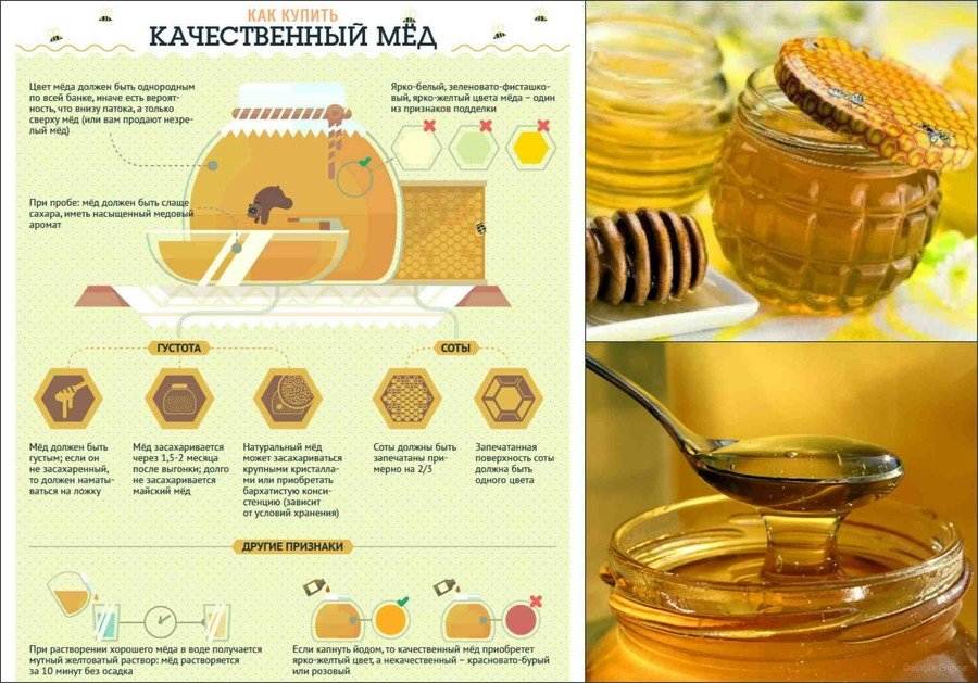 10 способов проверить натуральный мед или нет