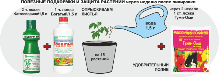 Чем подкормить домашние цветы в домашних условиях: советы - sadovnikam.ru