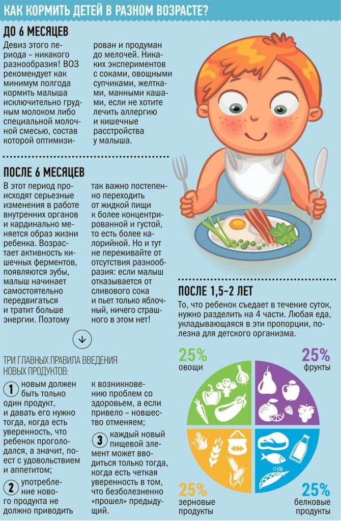Прикорм для грудного ребенка: какие продукты можно, особенности прикорма