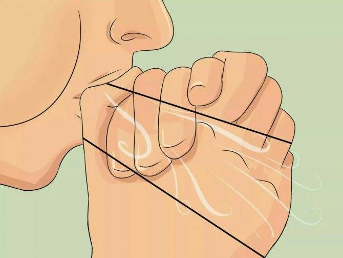 Как научиться свистеть громко без пальцев: инструкции с видео