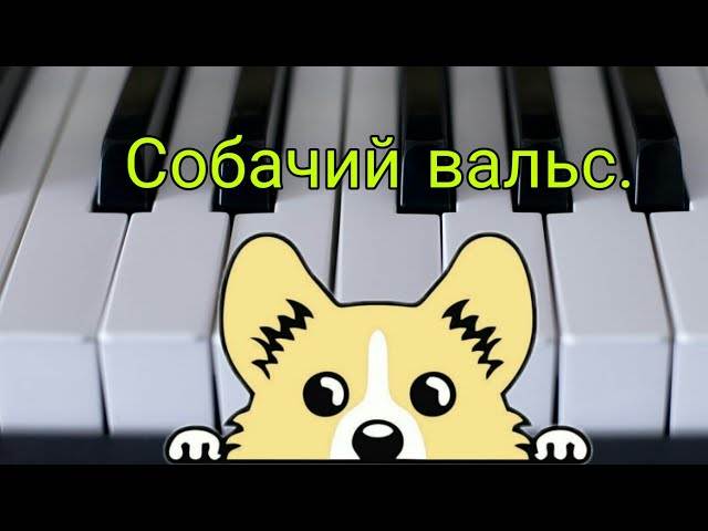 Как играть на пианино собачий вальс? проще простого!