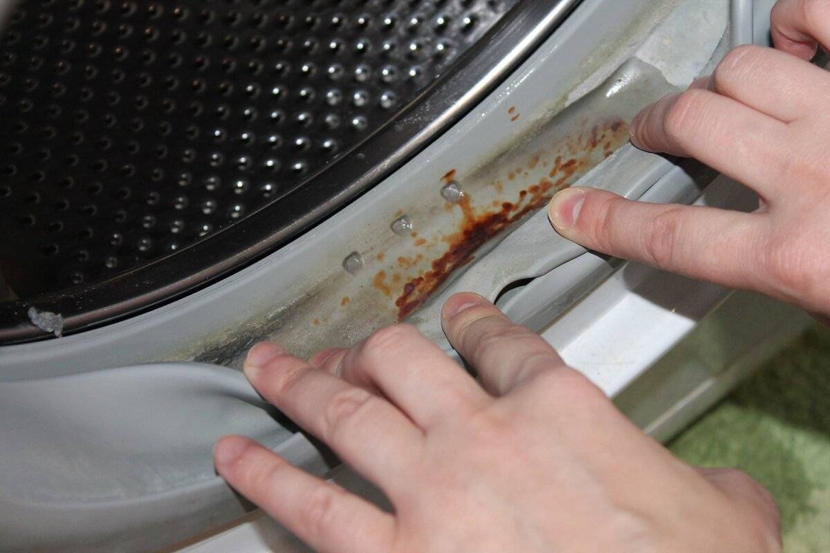 Топ 10 средств как избавиться от плесени в стиральной машине