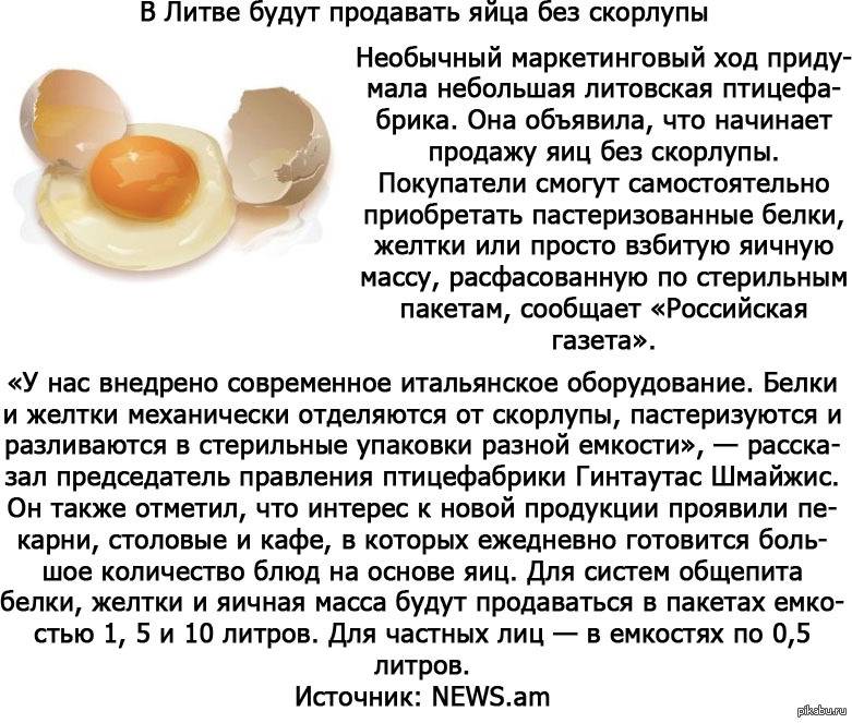 Срок годности яиц куриных