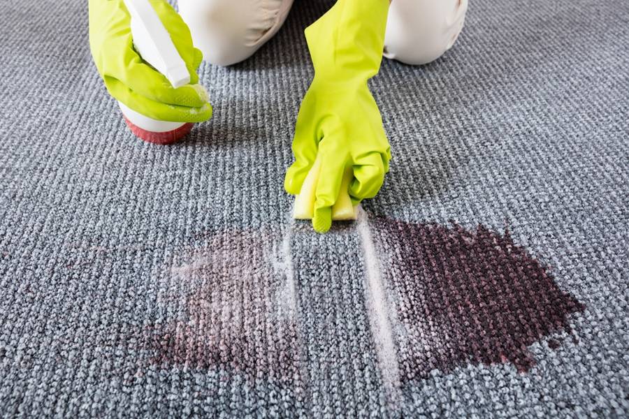 Как почистить ковролин в домашних условиях: чистка ковровых покрытий, чем очистить и мыть, чем отмыть, средство, уборка в домашних условиях, сухая чистка, фото и видео