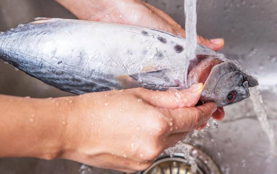 Как отстирать запах рыбы с одежды